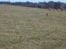 SAM_0047