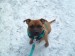 SAM_0611
