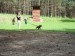 SAM_1058